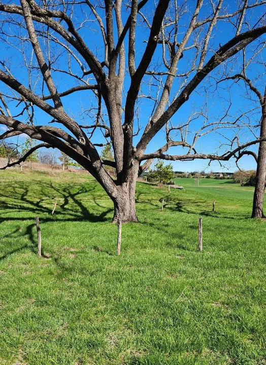 Property in Staunton