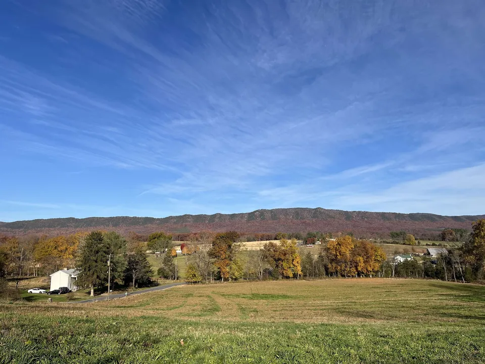 Property in Rockingham