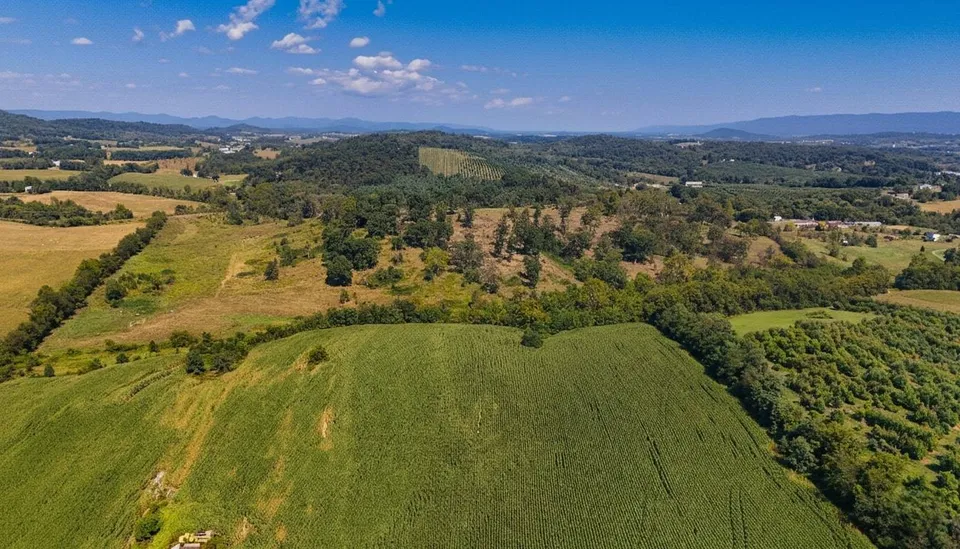 Property in Rockingham