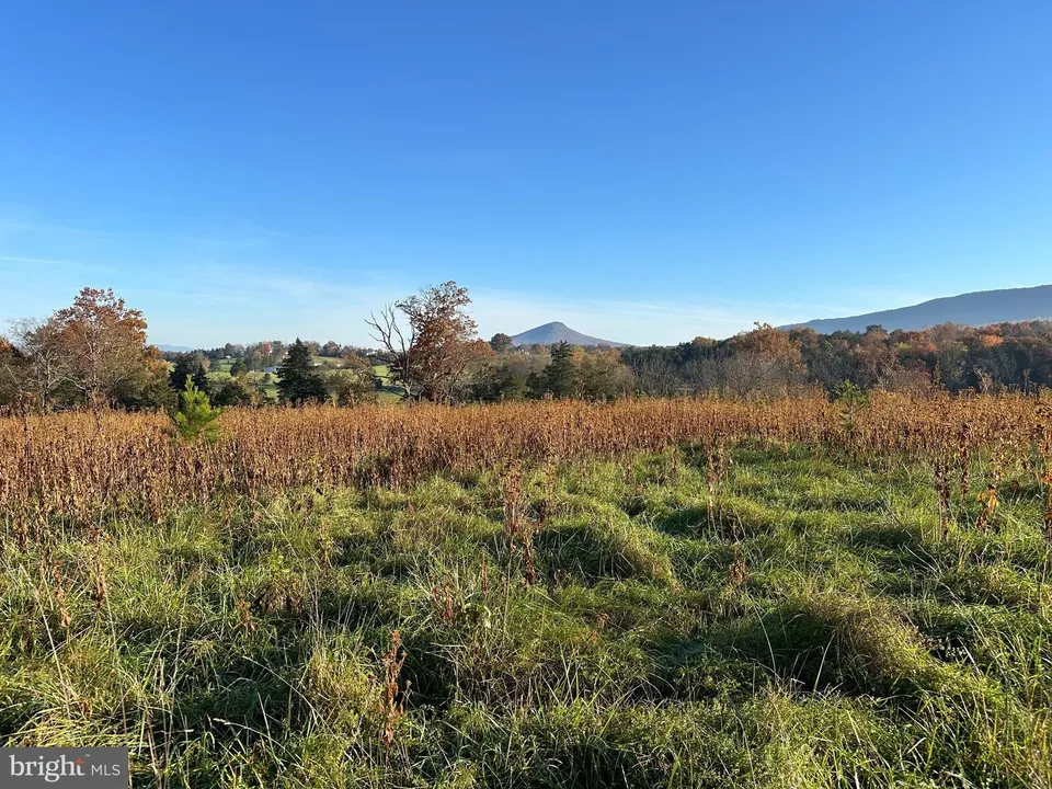 Property in Shenandoah